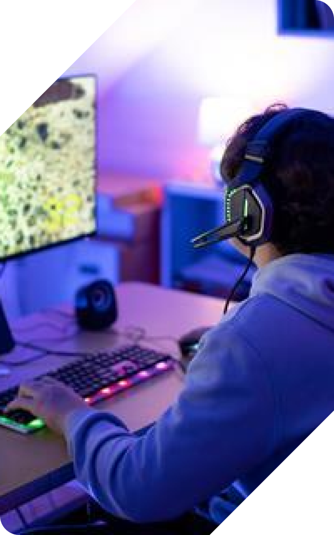 Gaming Setup