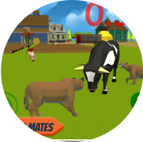 Cross Platform